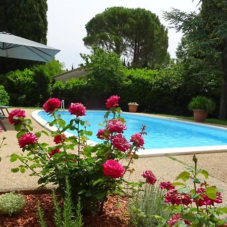 The Blue Tit - Private Swimming Pool Βίλα LʼIsle-sur-la-Sorgue Εξωτερικό φωτογραφία