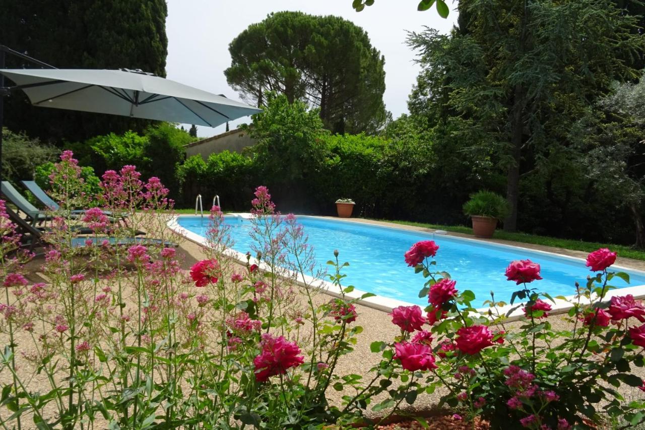 The Blue Tit - Private Swimming Pool Βίλα LʼIsle-sur-la-Sorgue Εξωτερικό φωτογραφία